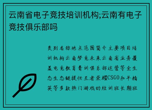 云南省电子竞技培训机构;云南有电子竞技俱乐部吗